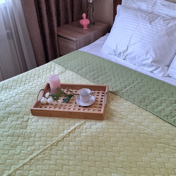 Покривало велюрове стьобане Tenderness SoundSleep олива 200х220 см 6498 фото
