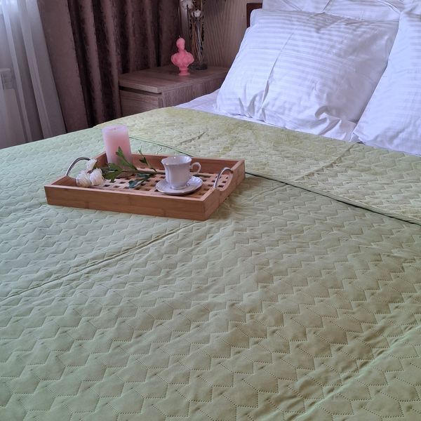 Покривало велюрове стьобане Tenderness SoundSleep олива 200х220 см 6498 фото