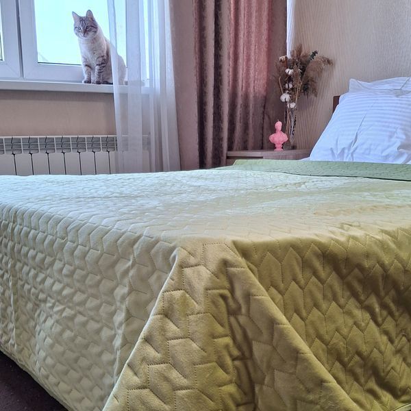 Покривало велюрове стьобане Tenderness SoundSleep олива 200х220 см 6498 фото