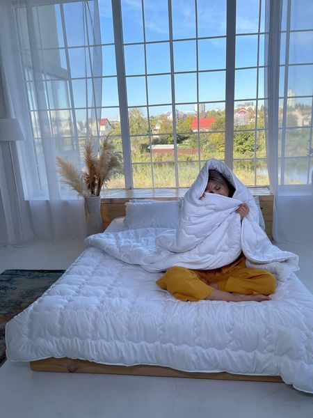 Ковдра SoundSleep Dream демісезонна лебединий пух 200х220 см (93255851) 3913 фото Ковдра SoundSleep Dream демісезонна лебединий пух 200х220 см (93255851) 3913 фото