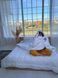 Ковдра SoundSleep Dream антиалергенна зимова лебединий пух 200x220 см (93077279) 2417 фото 2