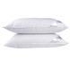 Подушка SoundSleep Calm 50% пуху 50х70 см біла (91035165) 8665 фото 3